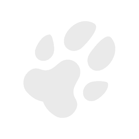 @ET-DC@eyJkeW5hbWljIjp0cnVlLCJjb250ZW50IjoicG9zdF90aXRsZSIsInNldHRpbmdzIjp7ImJlZm9yZSI6IiIsImFmdGVyIjoiIn19@