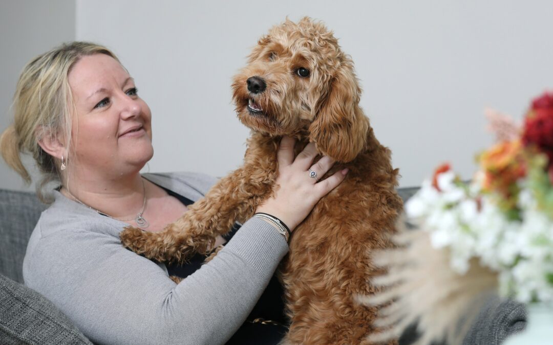 Paralysed dog walks again with pioneering 3D-printed spine