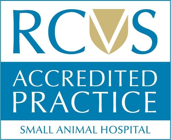 RCVS-small-animal-hospital