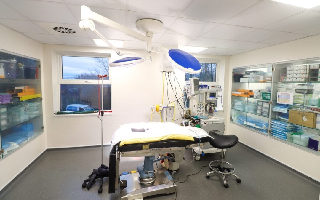 ChesterGates Veterinary Specialists launches new oncology service